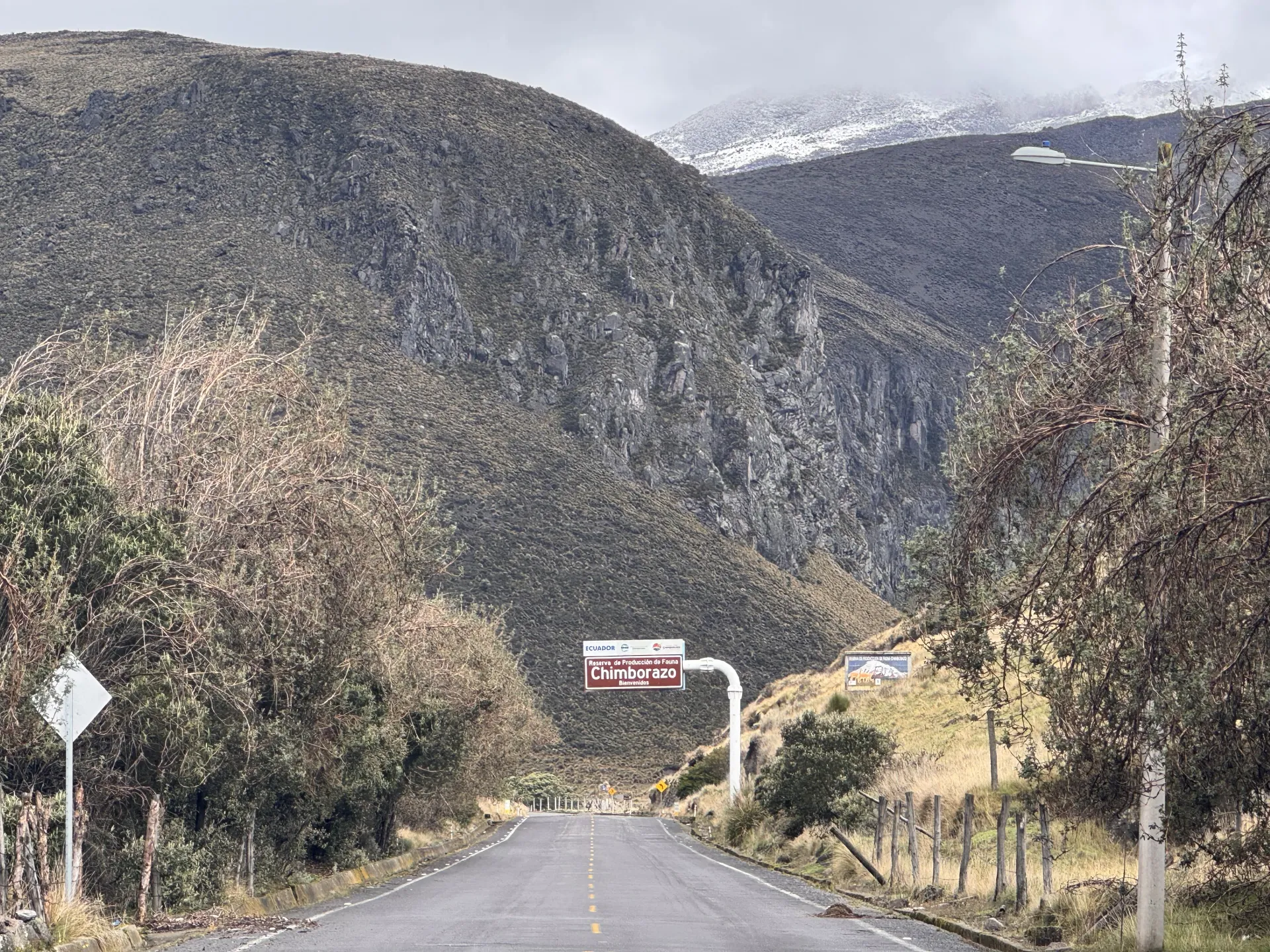Chimborazo