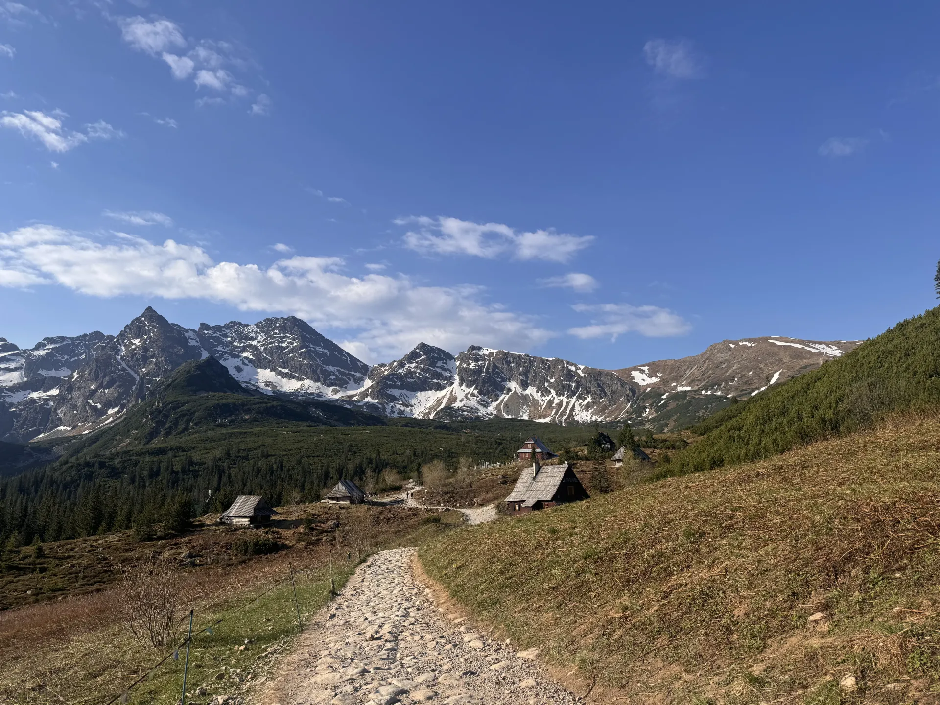 Świnica